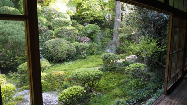 龍国禅寺の春めく庭
