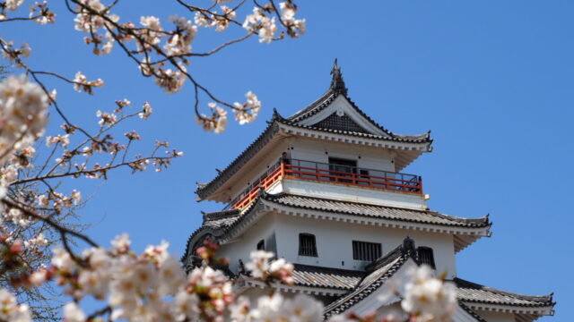 唐津城と桜