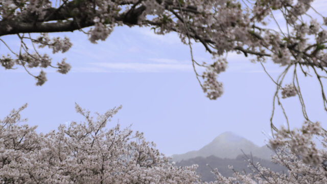 糸島の春紀行