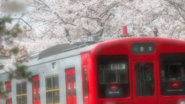 桜色の旅立ち：一貴山駅の春景色