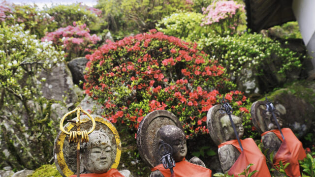 唐津の花と石仏：法安寺