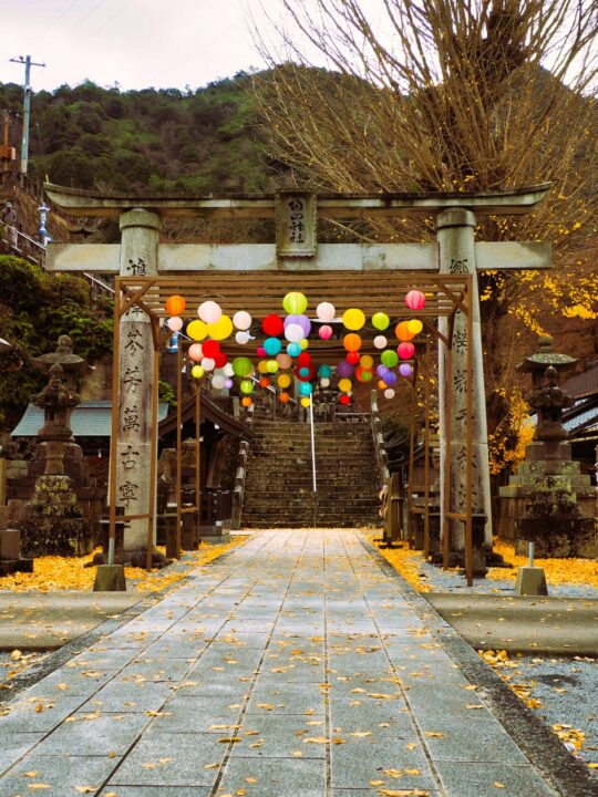 参道を彩る提灯とイチョウの絨毯