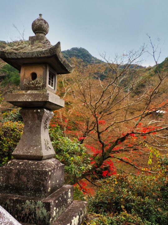 石灯籠と深紅の紅葉